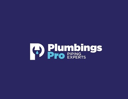 logo Plumbing Pro Florida