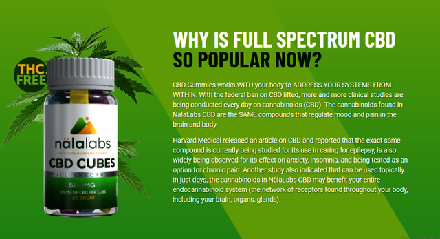 How Can Nala Labs CBD Cubes Help Health? Picture Box