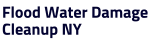 logo Water Cleanup Long Island