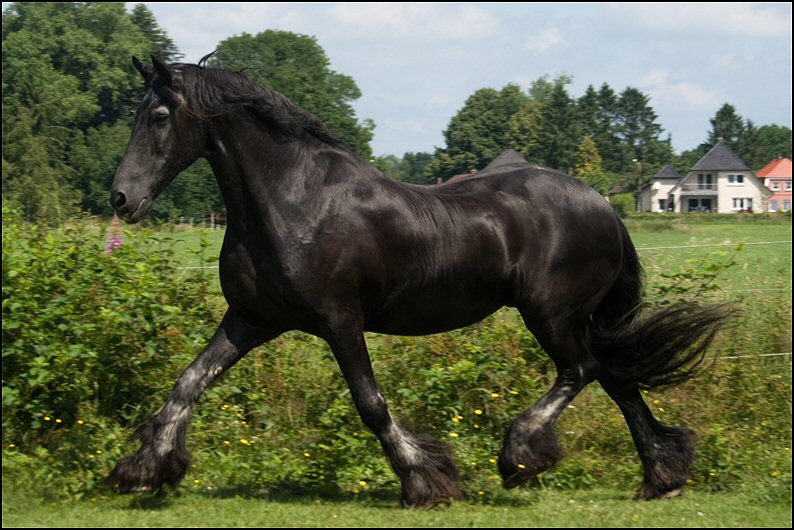 74 - Wessel,Nathan , Friesje 3 juli