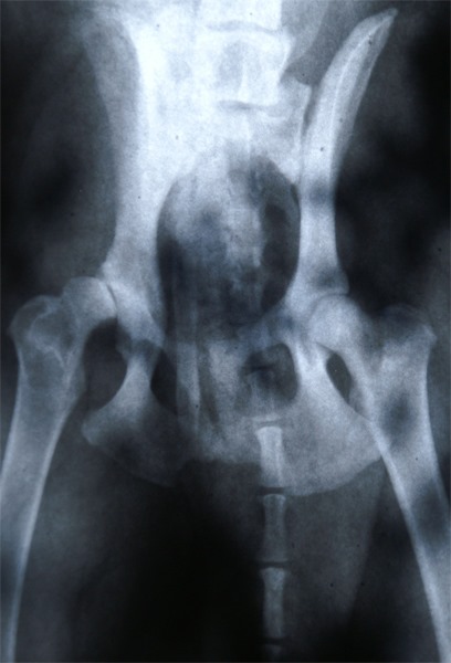 93780392 876506966158888 761164760010981376 n - 