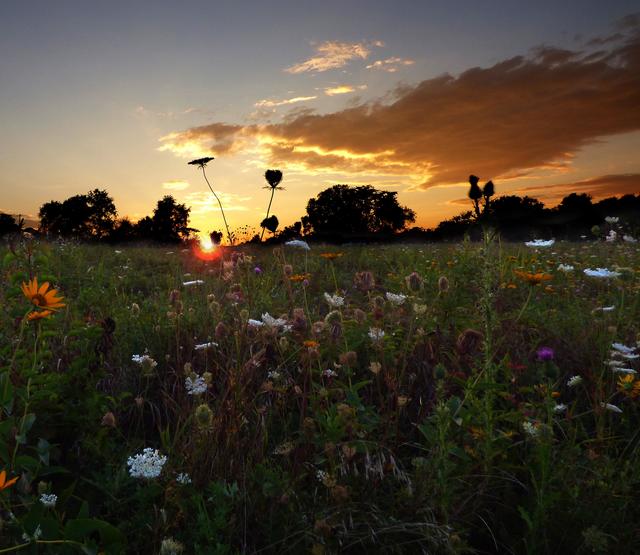Lara Schmoisman Picture Box