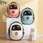 Cat Scratching Posts Online - Picture Box