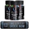 Ulixy CBD Gummies (Truth Revealed): Must Check Special Offer!