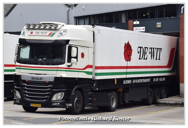 Wit de 77-BFN-1 (1)-BorderMaker Richard