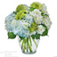 Flower Delivery in Denver CO - Florist in Denver, CO