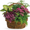 Fresh Flower Delivery Denve... - Florist in Denver, CO