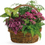 Fresh Flower Delivery Denve... - Florist in Denver, CO