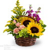 Same Day Flower Delivery De... - Florist in Denver, CO