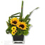 Hialeah FL Flower Bouquet D... - Florist in Hialeah, FL