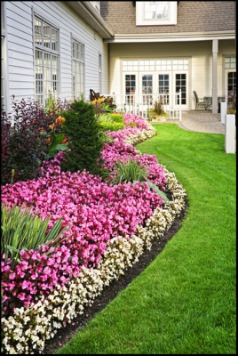 Landscaping Services in Hardeeville Blufftons Best Lawn Care