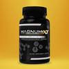 Why Experts Are Recommending Magnum XT?