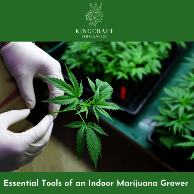 Essential Tools of an Indoor Marijuana Grower Picture Box