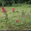 DSC 0664-BorderMaker - Vakantie zuid limburg 2021