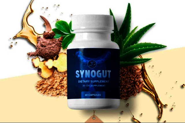 Out-1 How Does Synogut Help The Body?
