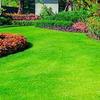 downloads - Real Deal Lawn Service LLC