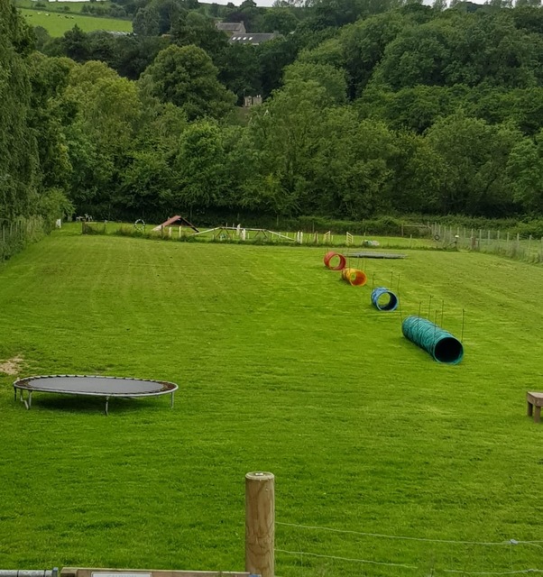 Dog Field Hire Picture Box