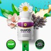 Gluco Shield Pro - Blood Pressure and Sugar Controls Formula !