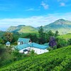 Resort in Munnar - Picture Box