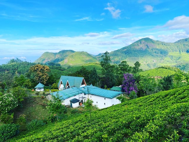 Resort in Munnar Picture Box