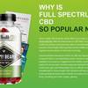 Green CBD Gummies Reviews Official Report And Benefits!