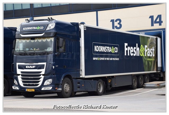 Koornstra & Co 87-BPN-7-BorderMaker Richard