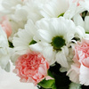 Stuart FL Florist - Florist in Port St Lucie, FL