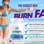 What Does Dtrim Keto Pills ... - Picture Box