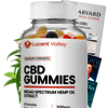 Lucent Valley CBD Gummies Get Relief From Mental Stresses With Ease !