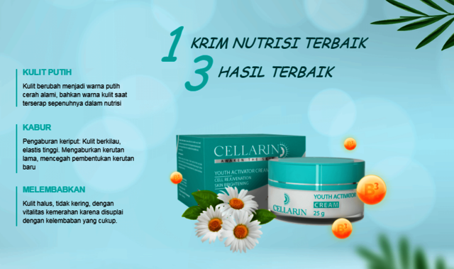 Cellarin Krim Harga Picture Box