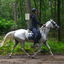 DSC 0448 - Paardenvierdaagse Barchem