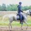 DSC 0456 - Paardenvierdaagse Barchem