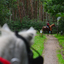 DSC 0459 - Paardenvierdaagse Barchem