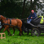 DSC 0487 - Paardenvierdaagse Barchem