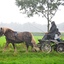 DSC 0488 - Paardenvierdaagse Barchem