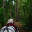 DSC 0500 - Paardenvierdaagse Barchem