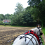 DSC 0538 - Paardenvierdaagse Barchem