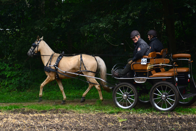 DSC 0545 Paardenvierdaagse Barchem