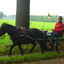 DSC 0601 - Paardenvierdaagse Barchem