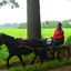 DSC 0602 - Paardenvierdaagse Barchem