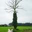 DSC 0614 - Paardenvierdaagse Barchem