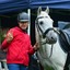 DSC 0633 - Paardenvierdaagse Barchem