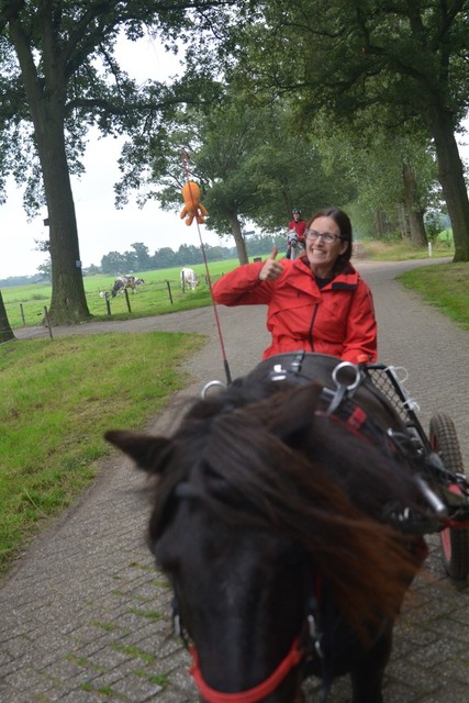 DSC 0666 Paardenvierdaagse Barchem