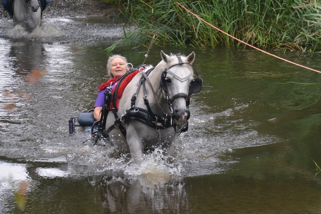 DSC 0696 Paardenvierdaagse Barchem