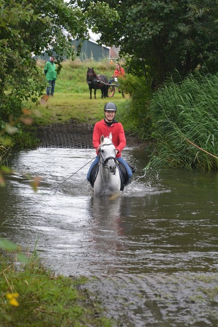 DSC 0708 Paardenvierdaagse Barchem