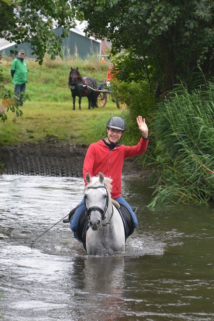 DSC 0710 Paardenvierdaagse Barchem