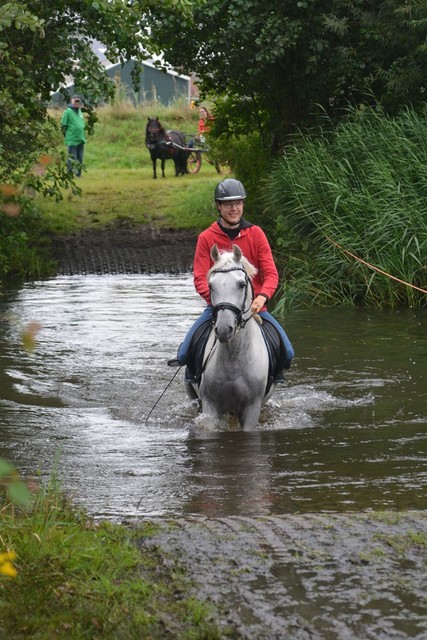 DSC 0714 Paardenvierdaagse Barchem