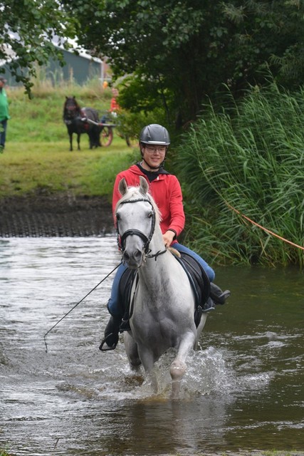 DSC 0716 Paardenvierdaagse Barchem