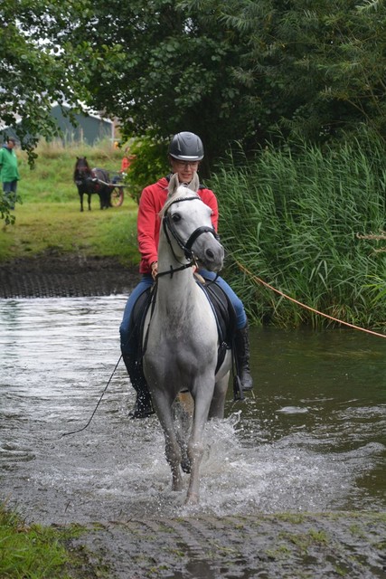 DSC 0718 Paardenvierdaagse Barchem