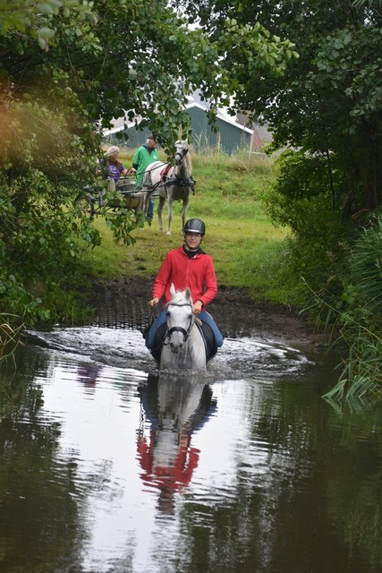 DSC 0721 Paardenvierdaagse Barchem